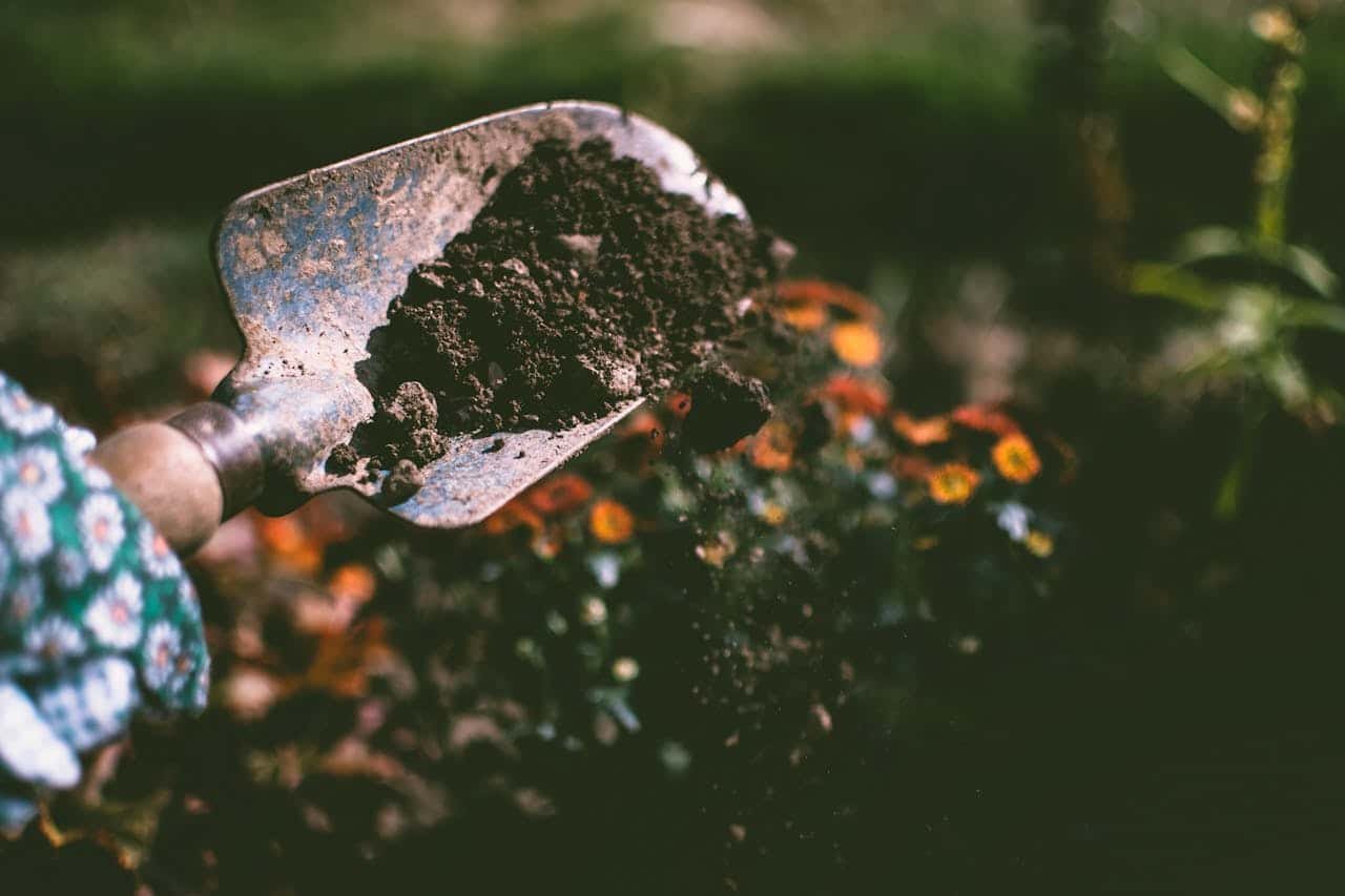 Geef je tuin een frisse start met deze verrassende tips